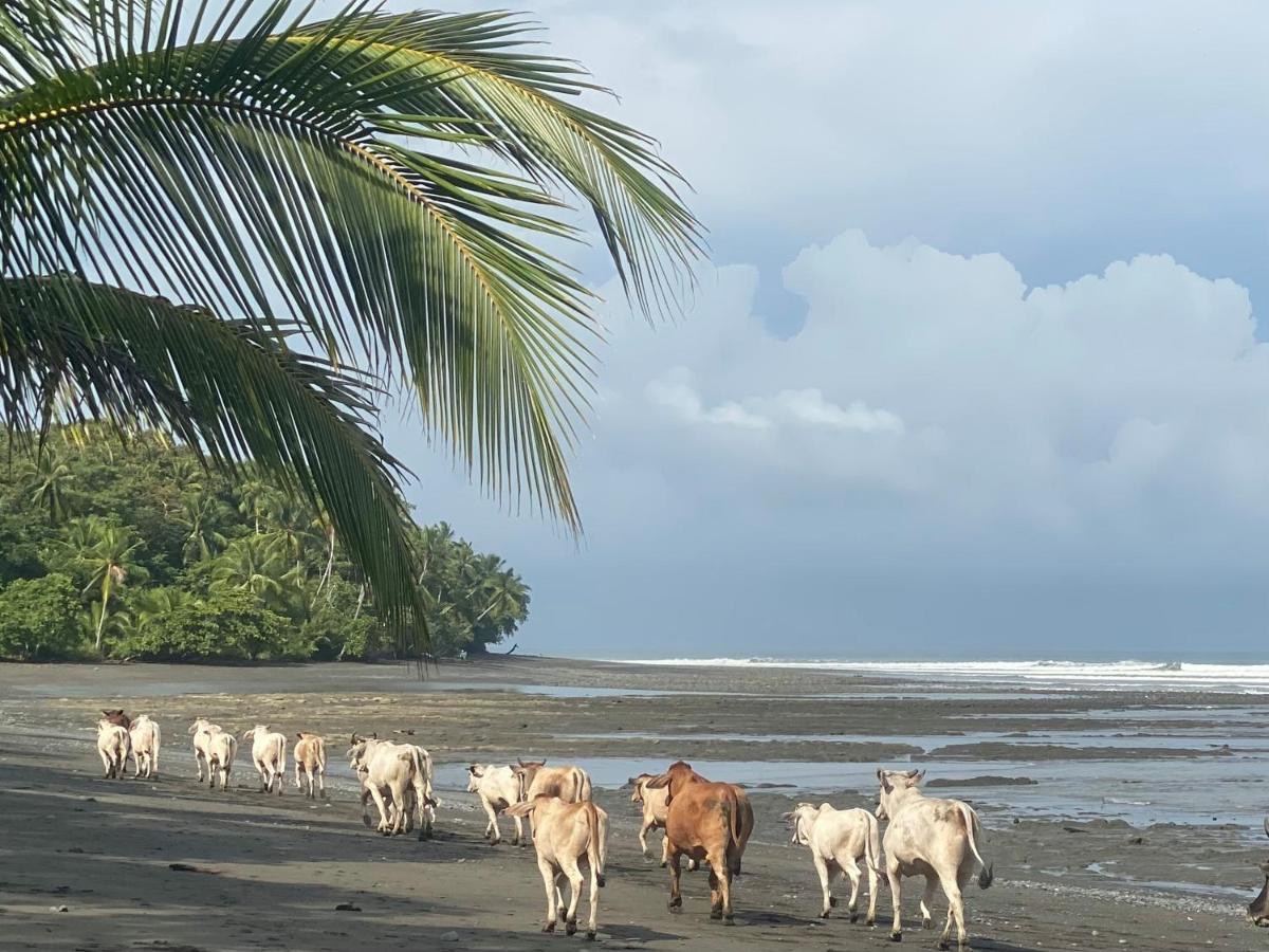 Brahman Bungalows On Pavones Point Екстериор снимка