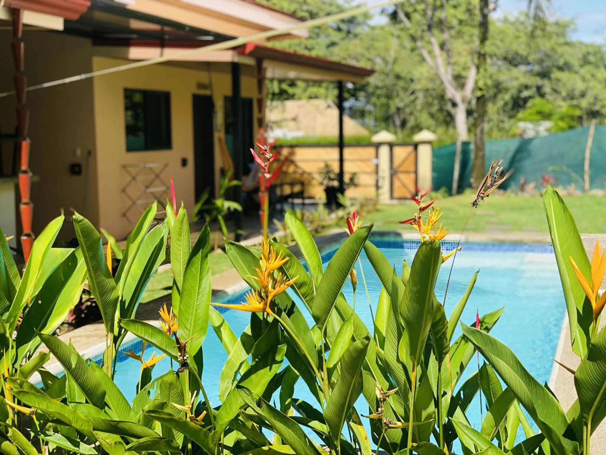 Brahman Bungalows On Pavones Point Стая снимка